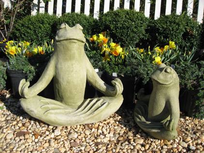 zen Frogs
